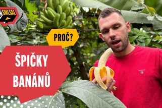 Proč (ne)smíme jíst špičky banánů | Ten Smlsal